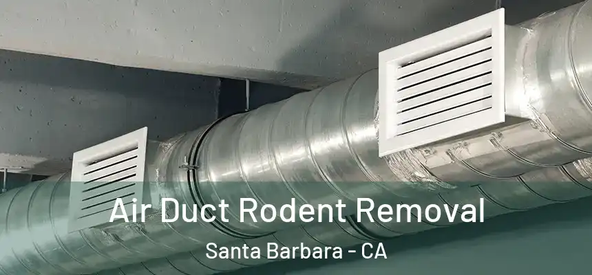 Air Duct Rodent Removal Santa Barbara - CA