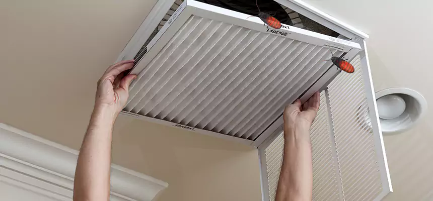 Preventive Cockroach-Proofing for Ducts in Santa Barbara