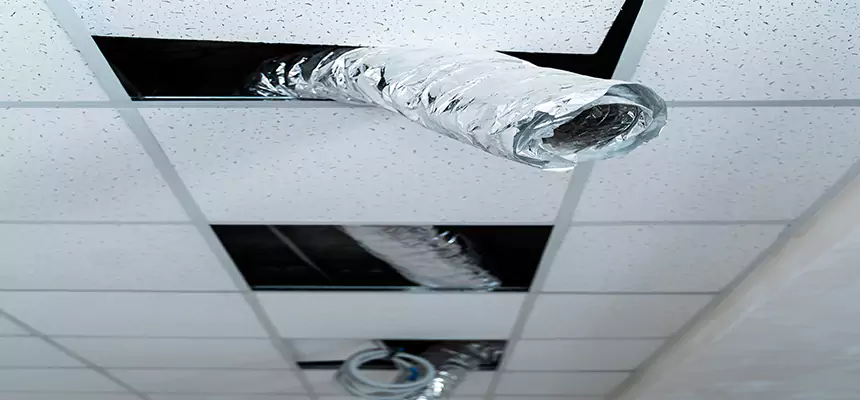 Affordable HVAC Sanitizing After Pest Removal in Santa Barbara