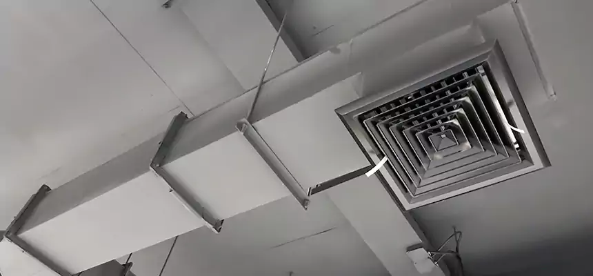 Our Rodent Droppings In Vents Services in Santa Barbara, CA