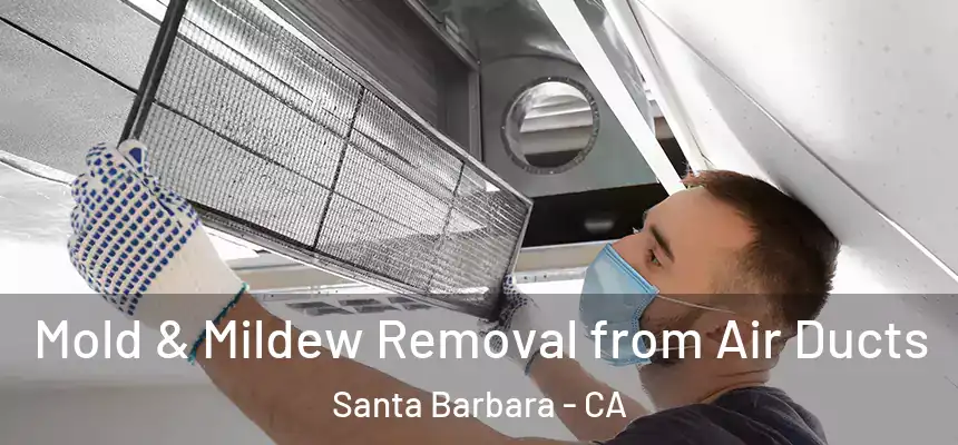 Mold & Mildew Removal from Air Ducts Santa Barbara - CA
