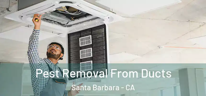 Pest Removal From Ducts Santa Barbara - CA