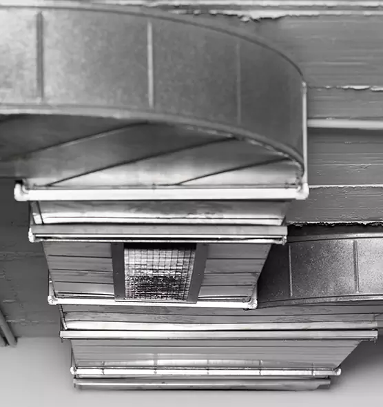 Professional Air Duct Pest Removal in Santa Barbara, CA