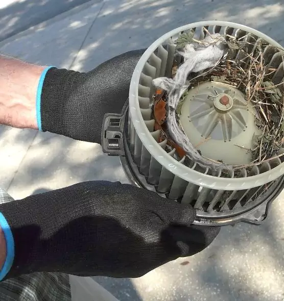 About Air Duct Rat Removal in Santa Barbara, CA