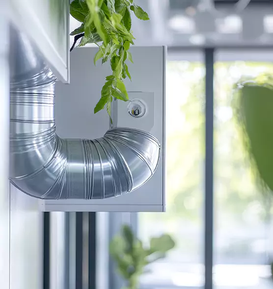 Professional Eco-Friendly Duct Cleaning Services in Santa Barbara, CA