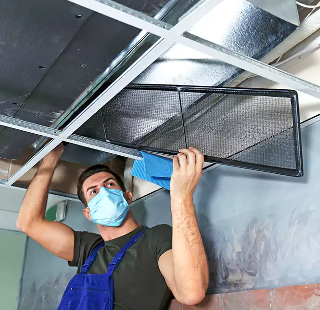 Why Homeowners Businesses Trust Us in Santa Barbara, CA