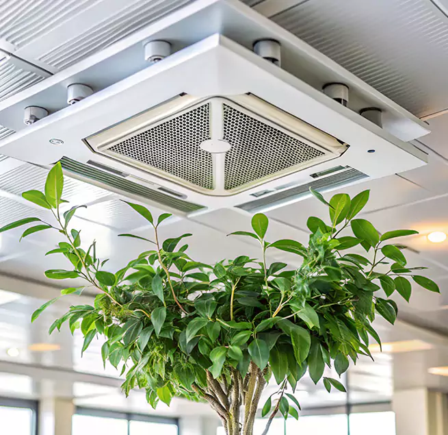 Why Homeowners & Businesses Trust Us in Santa Barbara, CA?