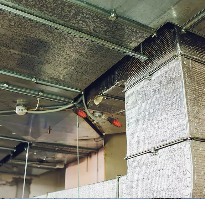 Why Homeowners & Businesses Trust Us Santa Barbara, CA?