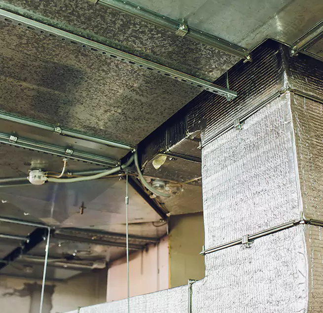 Why Homeowners & Businesses Trust Us in Santa Barbara, CA?