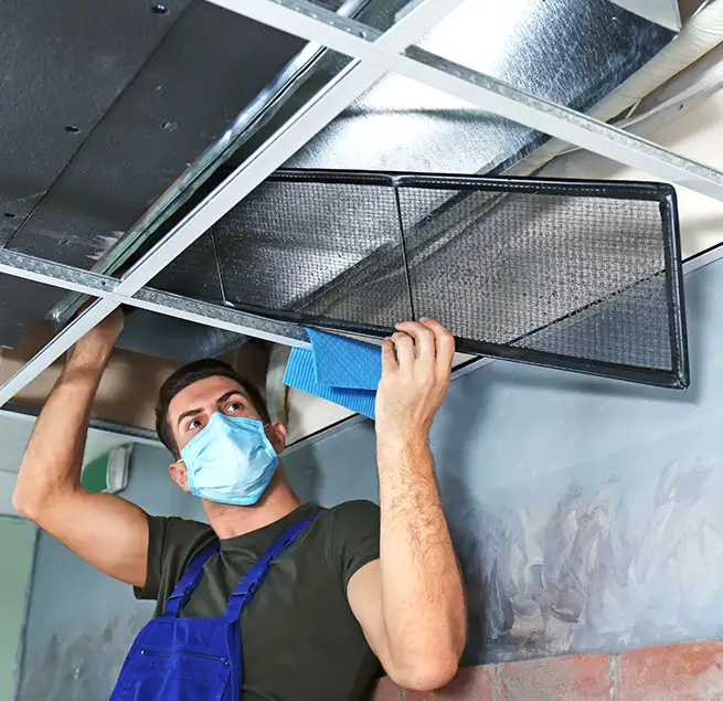 Why Homeowners & Businesses Trust Us in Santa Barbara, CA?